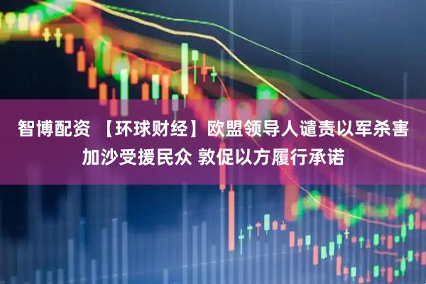 智博配资 【环球财经】欧盟领导人谴责以军杀害加沙受援民众 敦促以方履行承诺
