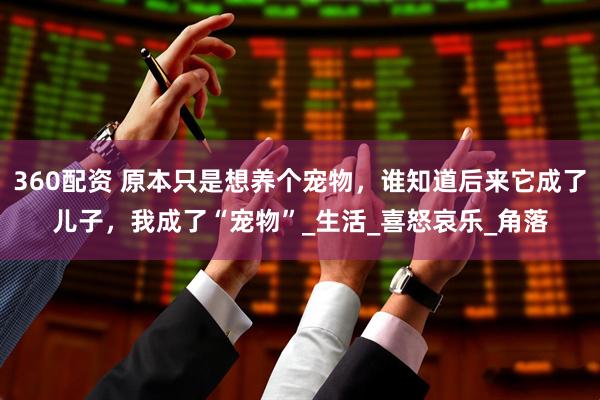 360配资 原本只是想养个宠物，谁知道后来它成了儿子，我成了“宠物”_生活_喜怒哀乐_角落