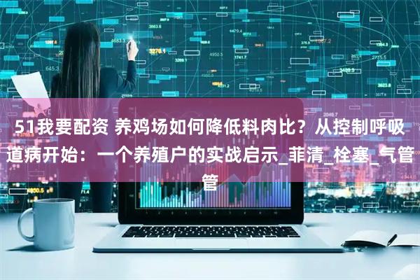 51我要配资 养鸡场如何降低料肉比？从控制呼吸道病开始：一个养殖户的实战启示_菲清_栓塞_气管