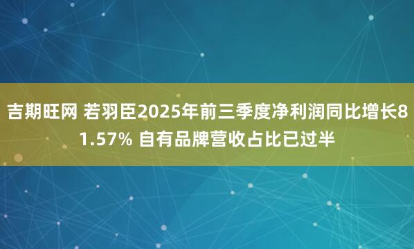 吉期旺网 若羽臣2025年前三季度净利润同比增长81.57% 自有品牌营收占比已过半